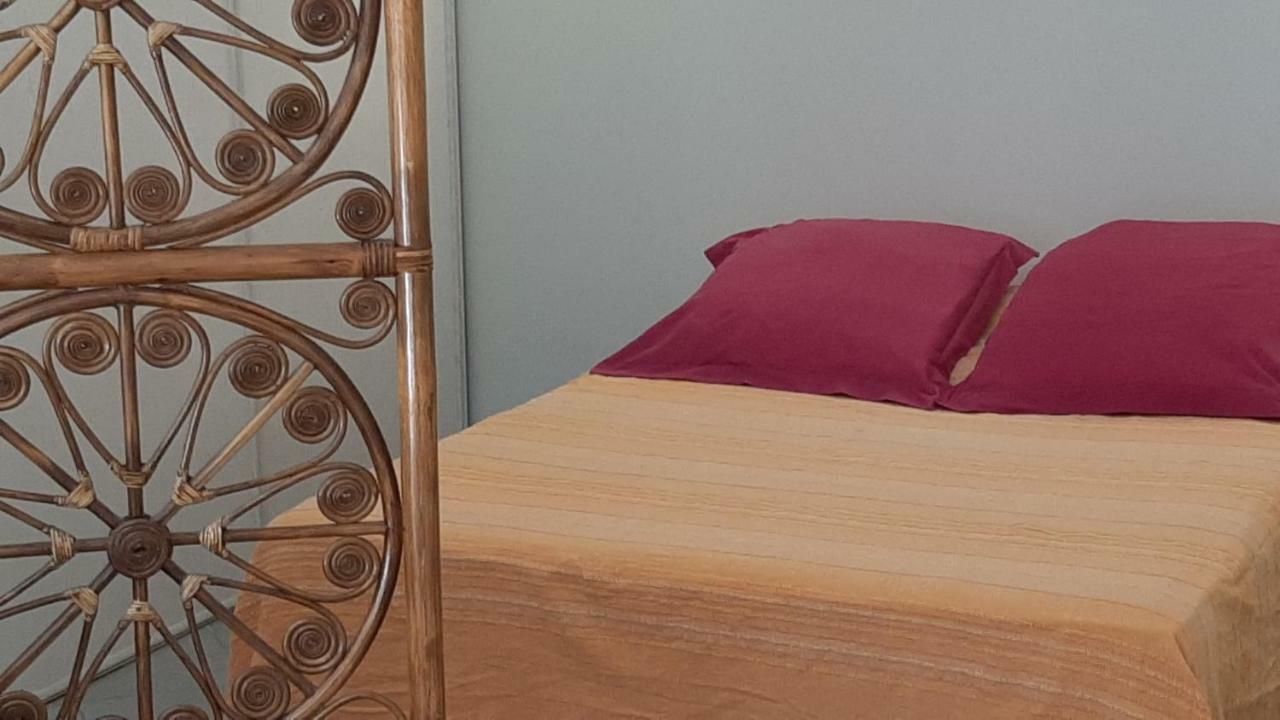 Grand Studio-Loft-Grand Parking-Climatise-Proche Centre 아작시오 외부 사진